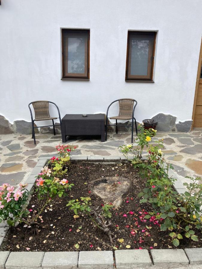 Livada Studio Apartments Brașov Exterior foto
